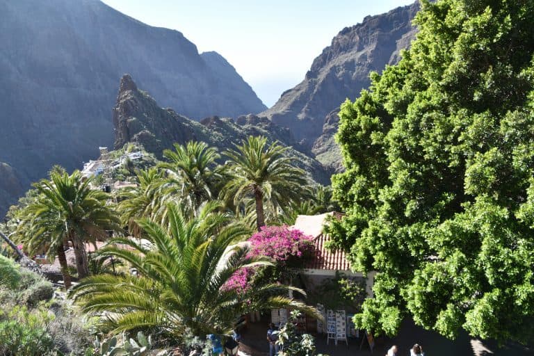Masca (8) (Tenerife)