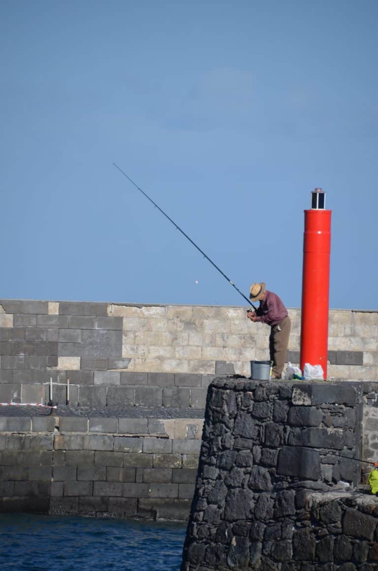 Puerto de la Cruz (10) (Tenerife)