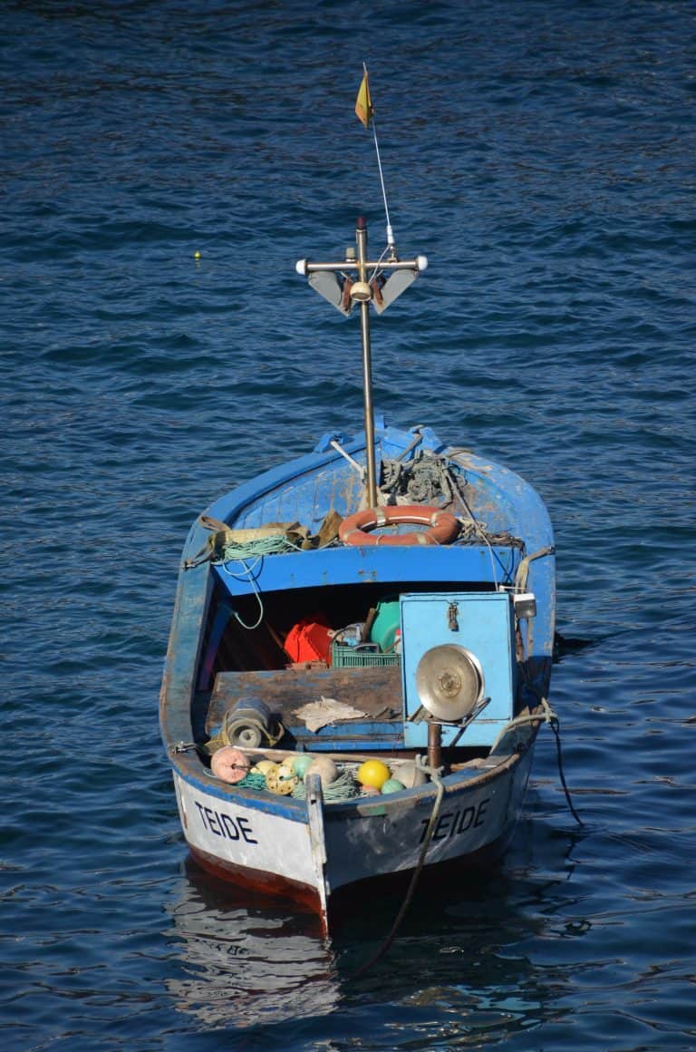 Puerto de la Cruz (12) (Tenerife)