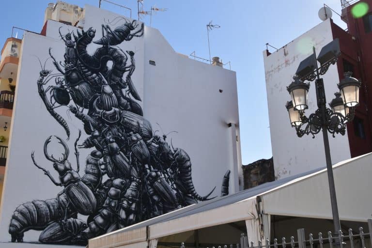 Puerto de la Cruz (17) (テネリフェ島)