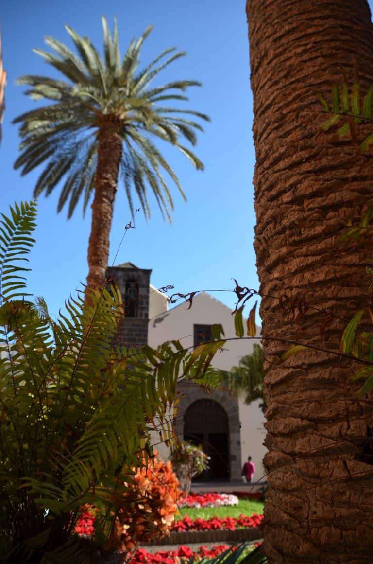 Puerto de la Cruz (26) (Tenerife)