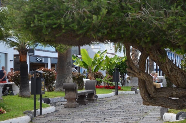 Puerto de la Cruz (49) (Tenerife)