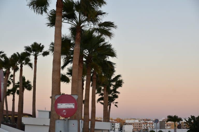 San Miguel de Abona (1) (テネリフェ島)
