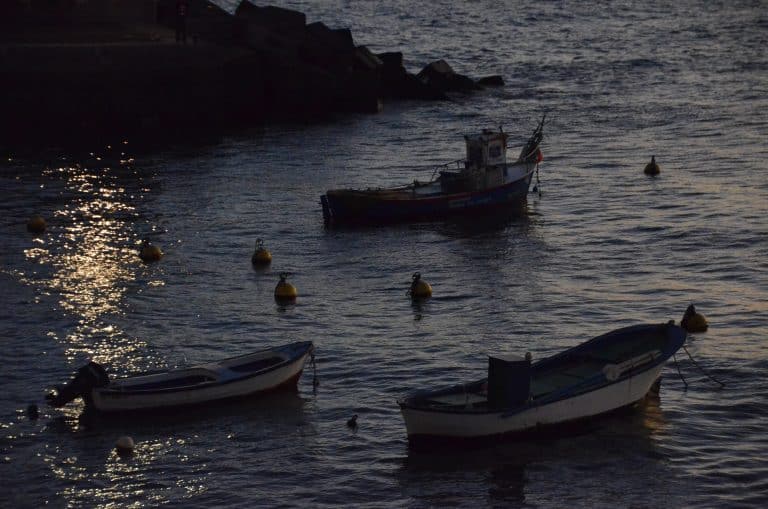 San Miguel de Abona (19) (テネリフェ島)