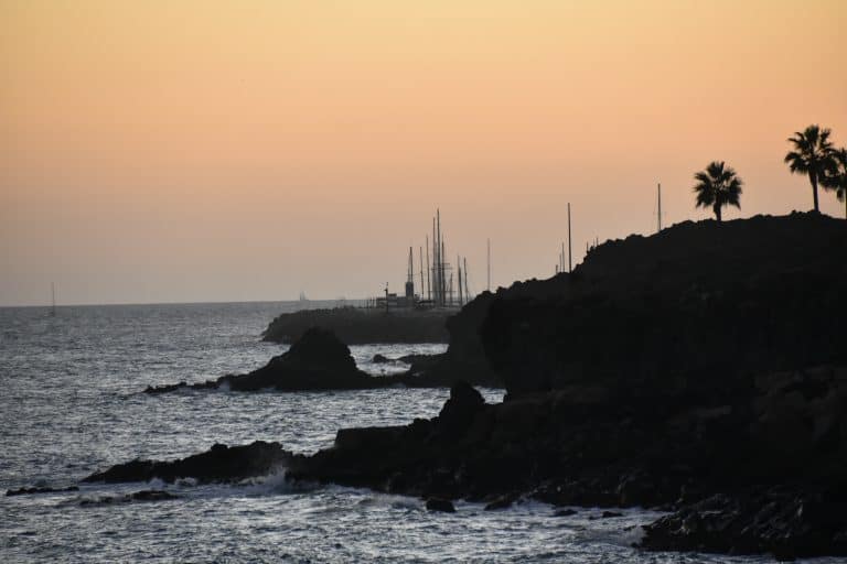 San Miguel de Abona (6) (テネリフェ島)