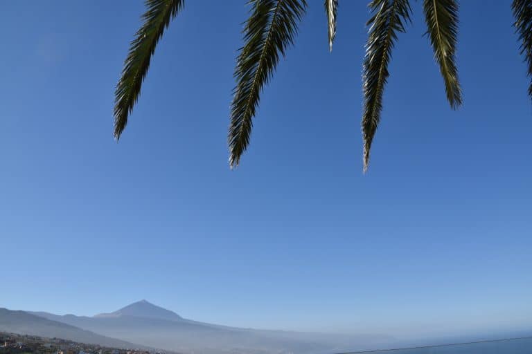 Tacoronte (10) (Tenerife)