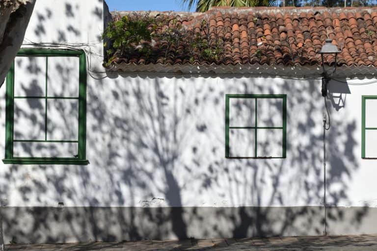 Tacoronte (19) (Tenerife)