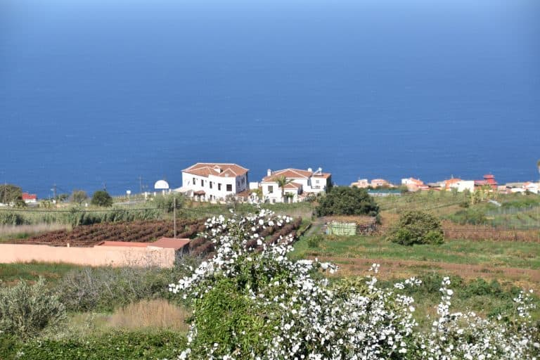 Tacoronte (3) (Tenerife)