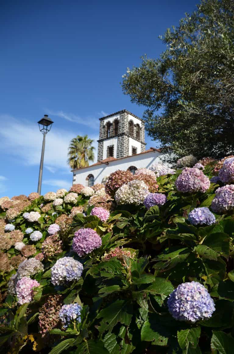 Tacoronte (38) (Tenerife)