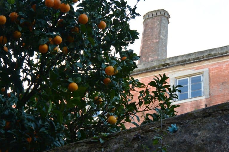 Sintra (14) (シントラとその周辺)