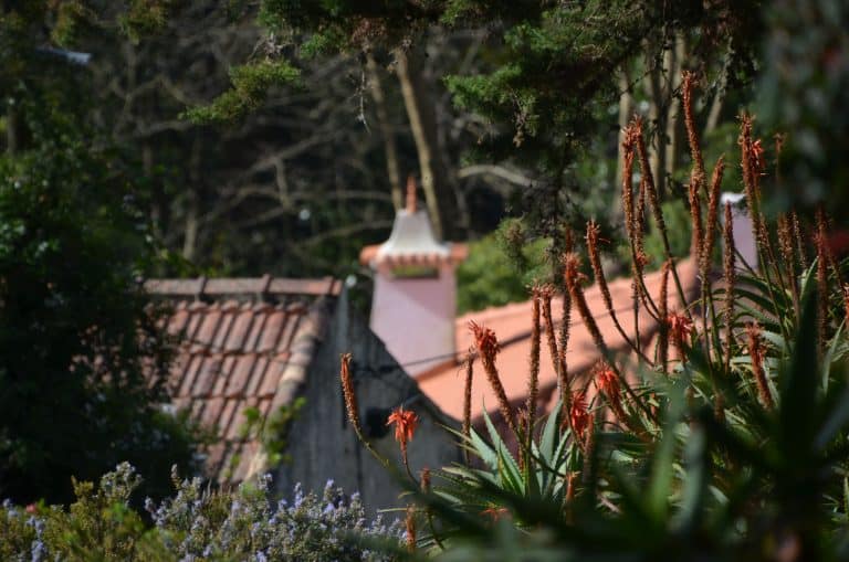 Sintra (44) (シントラとその周辺)
