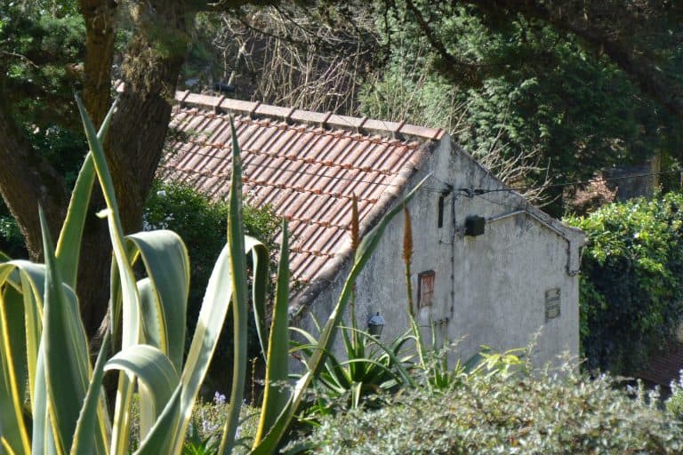 Sintra (45) (シントラとその周辺)