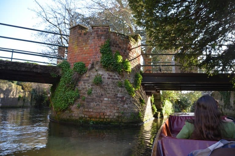 Canterbury2019 (116) (カンタベリー)