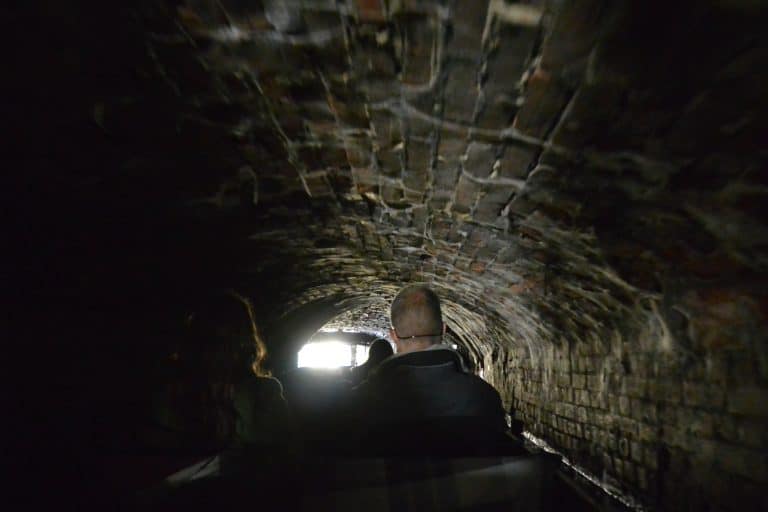 Canterbury2019 (120) (Canterbury)