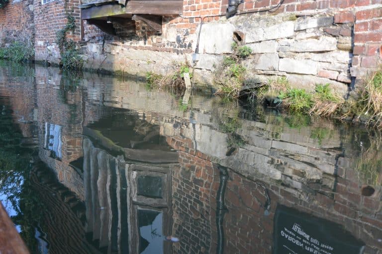 Canterbury2019 (121) (Canterbury)