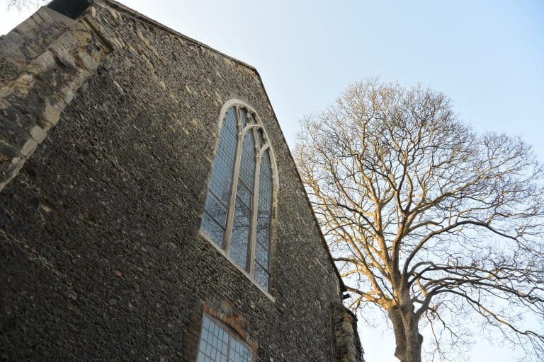 Canterbury2019 (124) (カンタベリー)