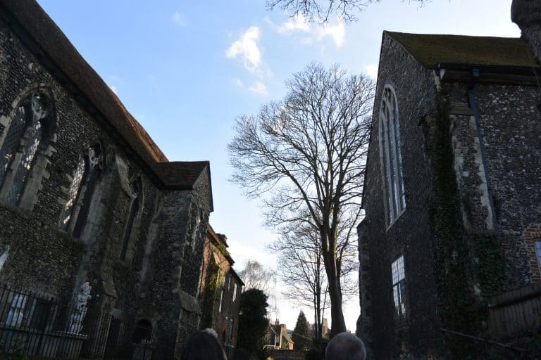 Canterbury2019 (130) (カンタベリー)