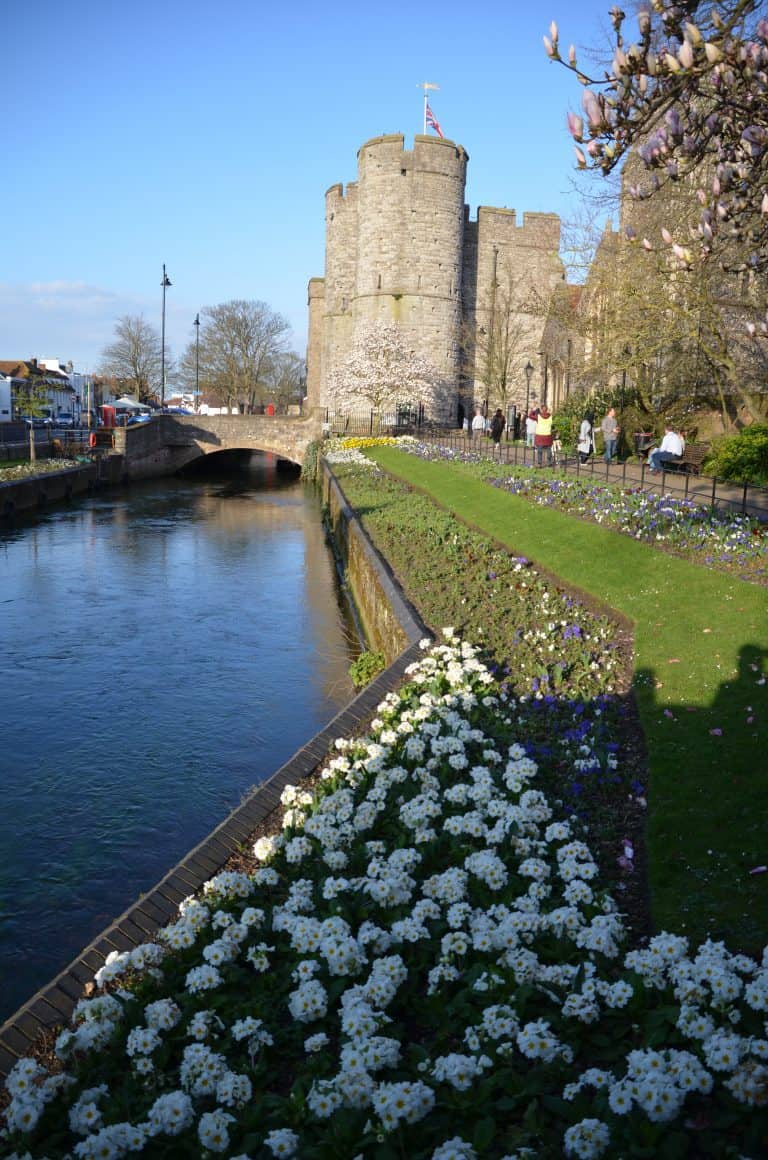 Canterbury2019 (137) (カンタベリー)