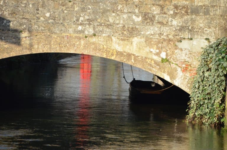 Canterbury2019 (140) (Canterbury)
