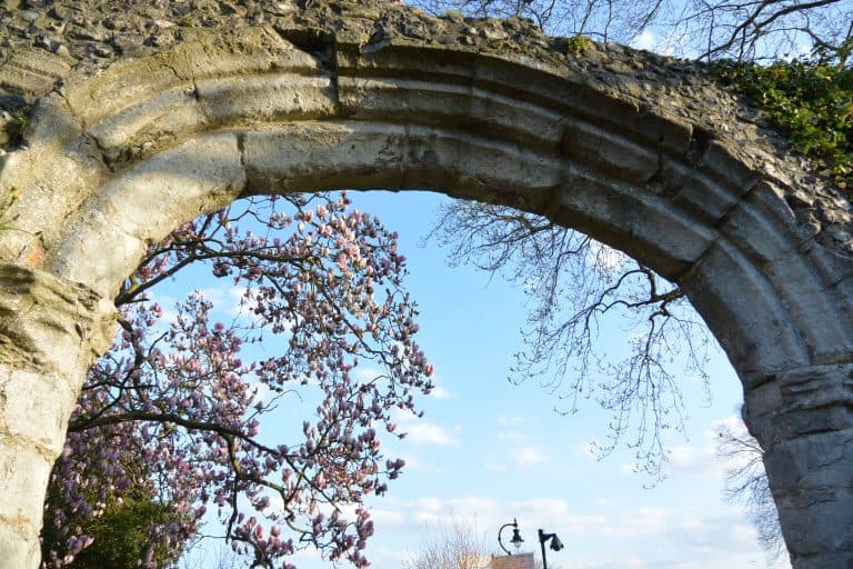 Canterbury2019 (141) (Canterbury)