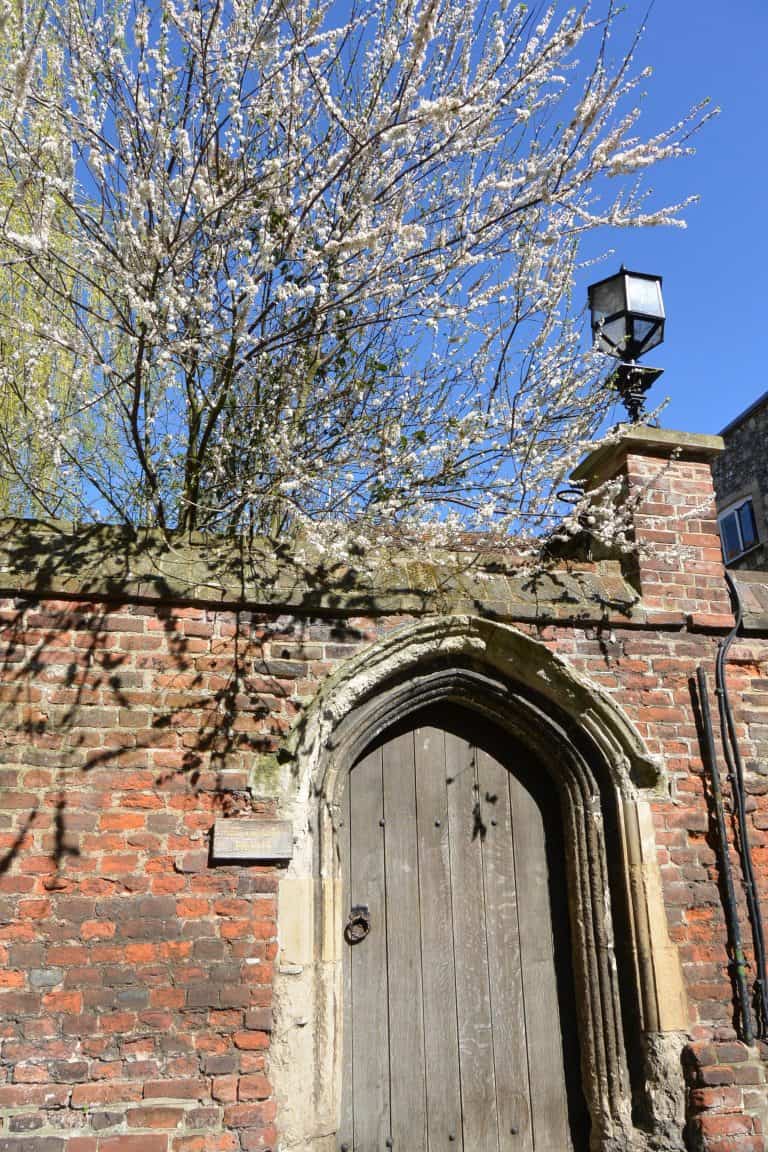 Canterbury2019 (34) (Canterbury)