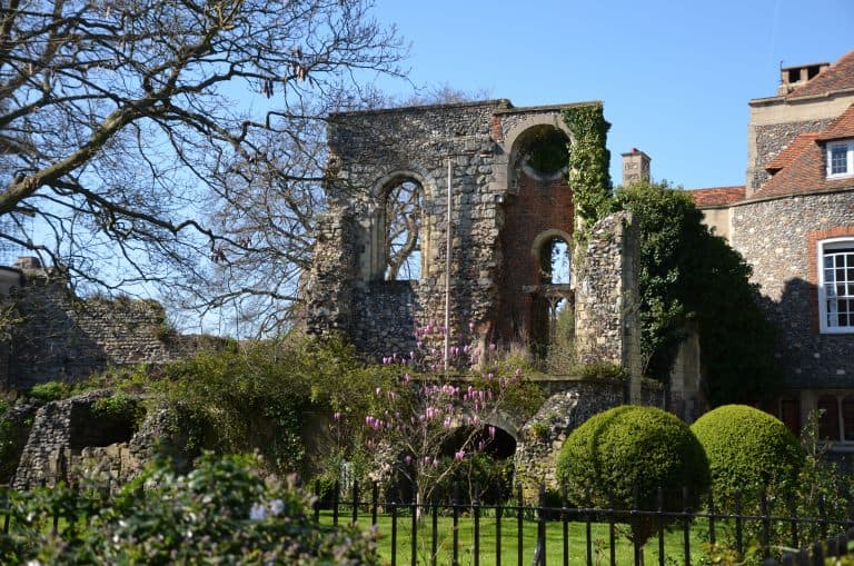 Canterbury2019 (37) (Canterbury)
