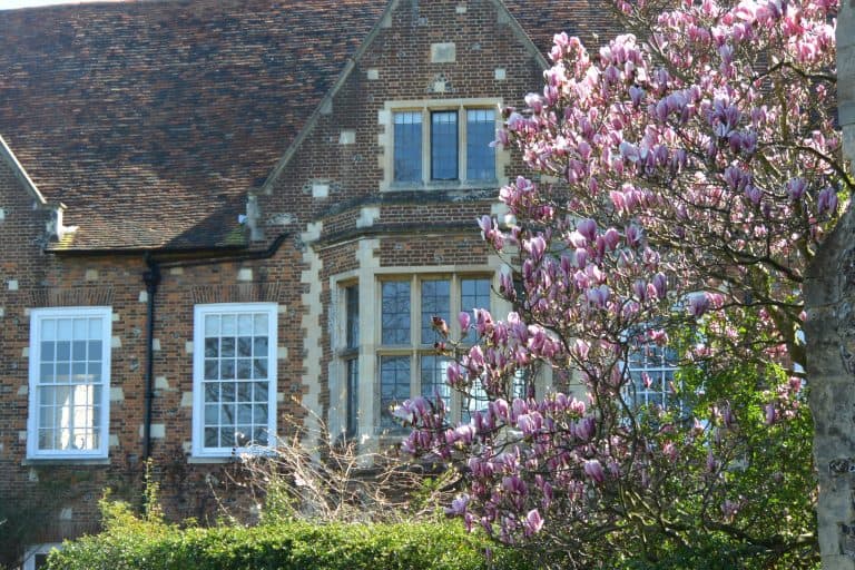 Canterbury2019 (39) (Canterbury)