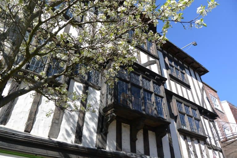 Canterbury2019 (48) (カンタベリー)