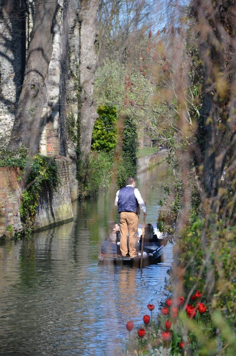 Canterbury2019 (57) (カンタベリー)