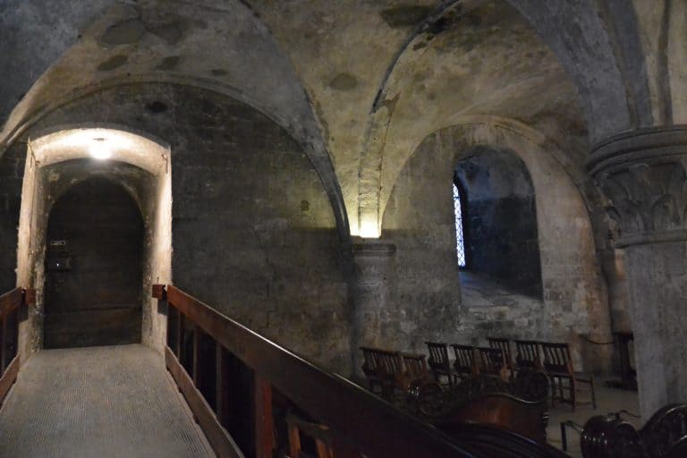 Canterbury2019 (79) (カンタベリー)