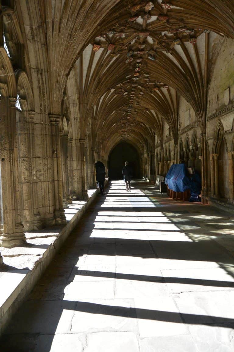 Canterbury2019 (96) (カンタベリー)