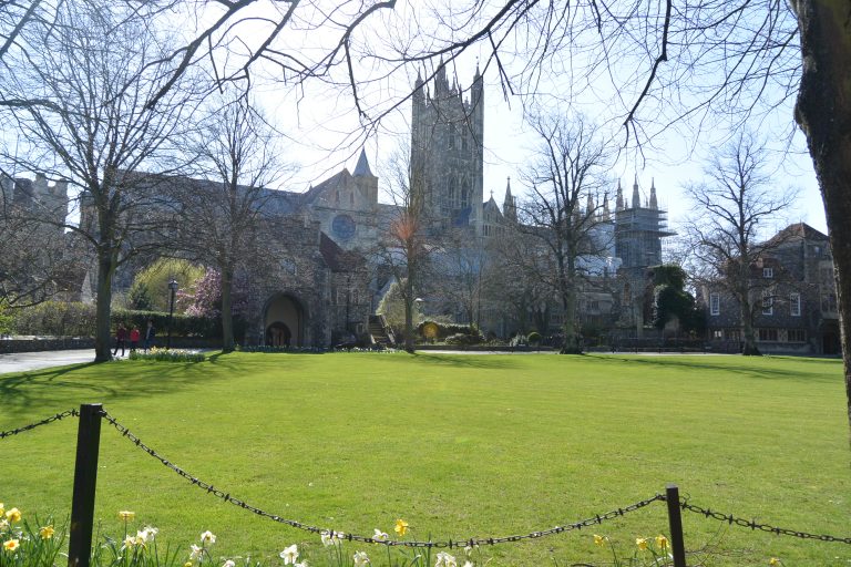 Canterbury2019 (99) (カンタベリー)