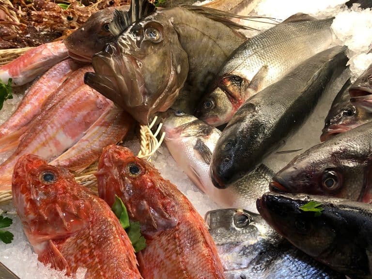 Milano-fish in San Glicerio2