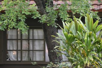 日本　宮古島　体験工芸村　工房　小屋の窓　植物　