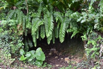 Japan-Miyakojima-Botanical Garden-entrance-trench-WW2