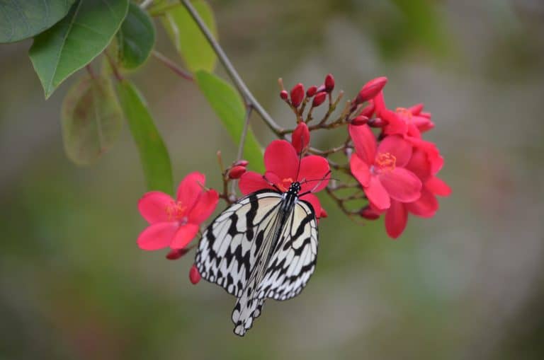 Aldea de Artesanías Taiken en Miyako-jima