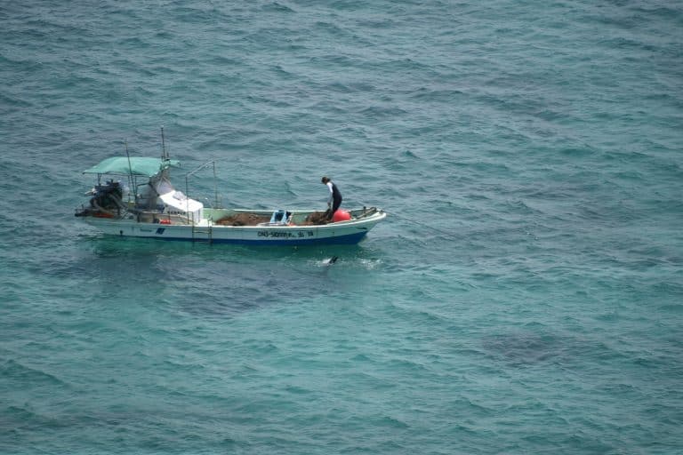 Miyakojima (18) (宮古島)