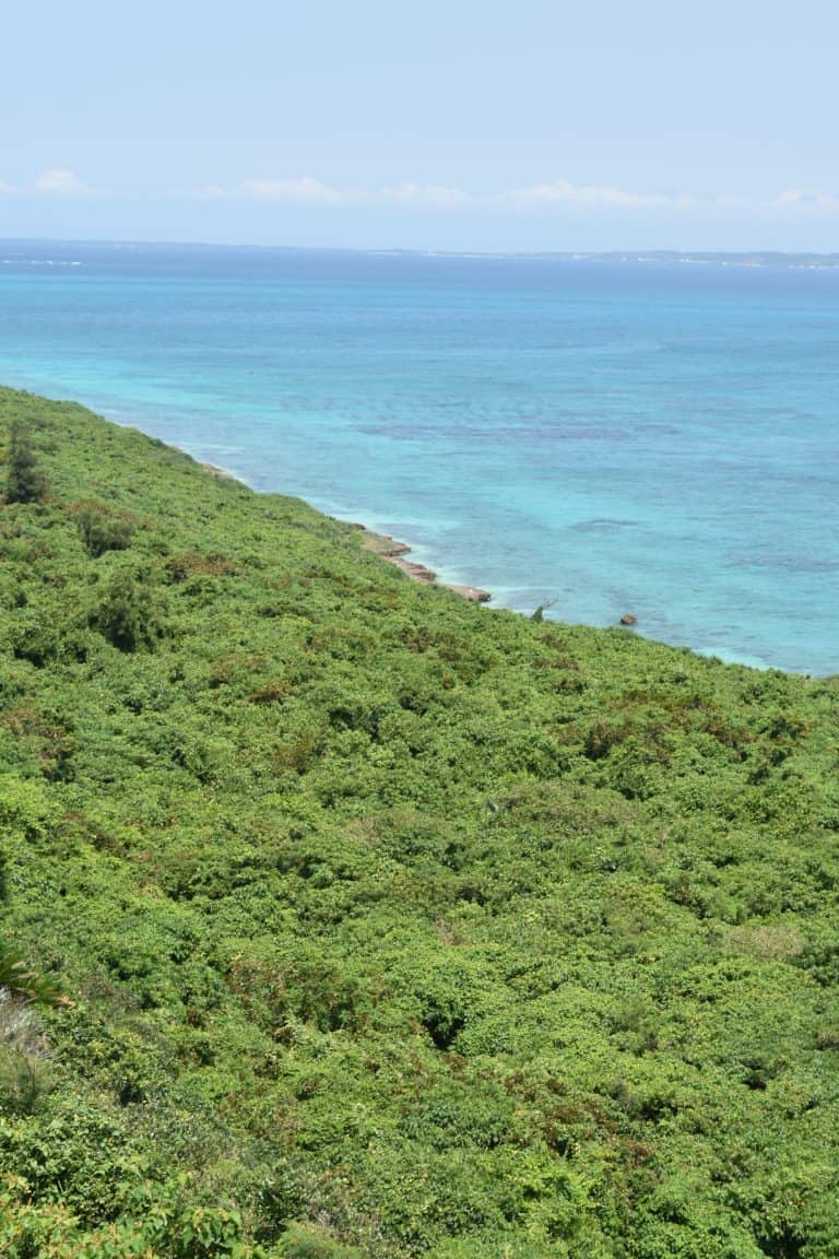 Miyakojima (20) (宮古島)