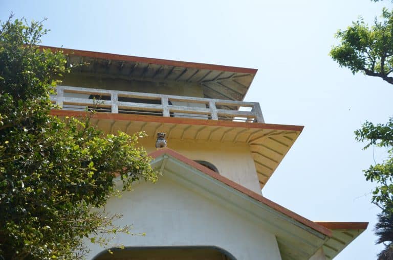 Miyakojima (22) (宮古島)
