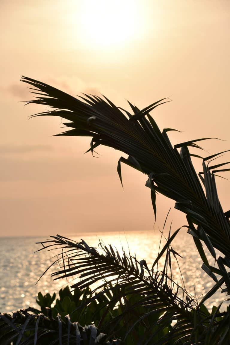Miyakojima (4) (宮古島)
