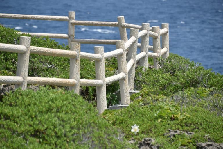 Miyakojima (58) (宮古島)
