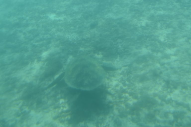 Miyakojima (90) (宮古島)