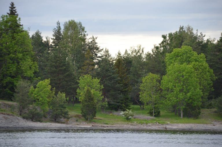 Oslo, Norway (137) (Oslo)