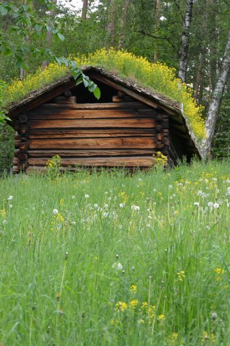 Norway-Oslo-Norwegian Museum of Cultural History-wooden house-grass