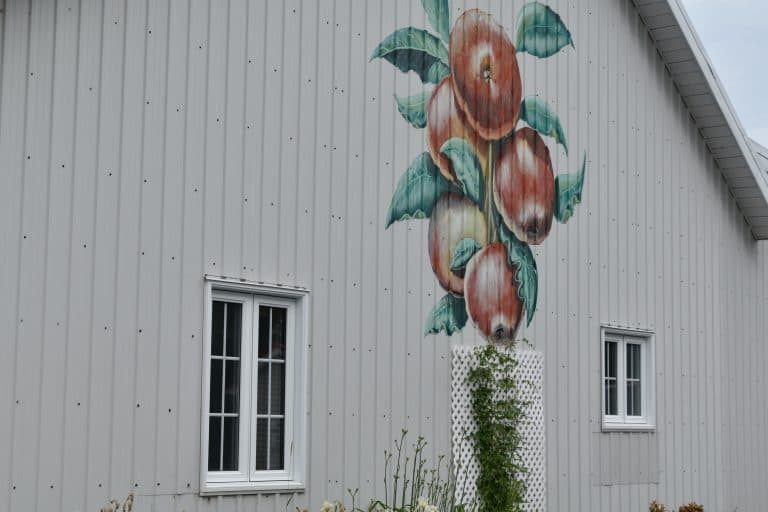 Il d’Orleans (16) (Quebec City)