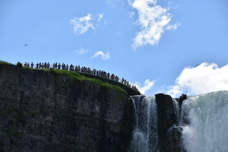 Niagara (10) (ナイアガラ)
