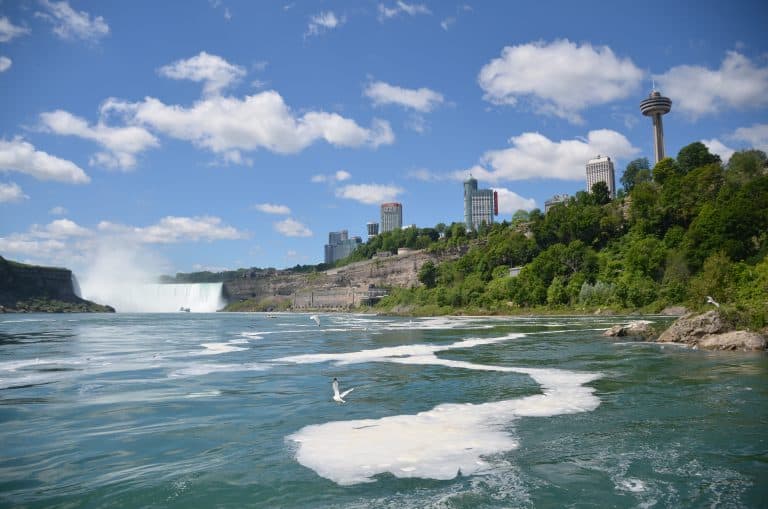 Niagara (13) (Niagara)