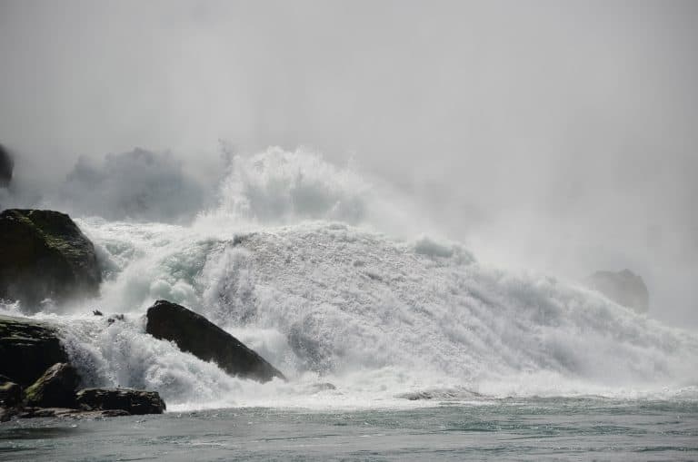 Niagara (14) (ナイアガラ)
