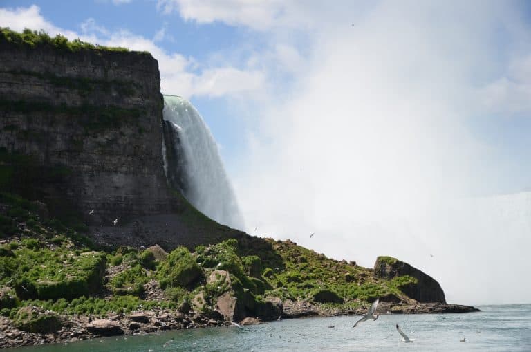 Niagara (16) (Niagara)