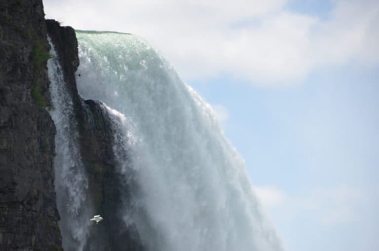 Niagara (17) (Niagara)